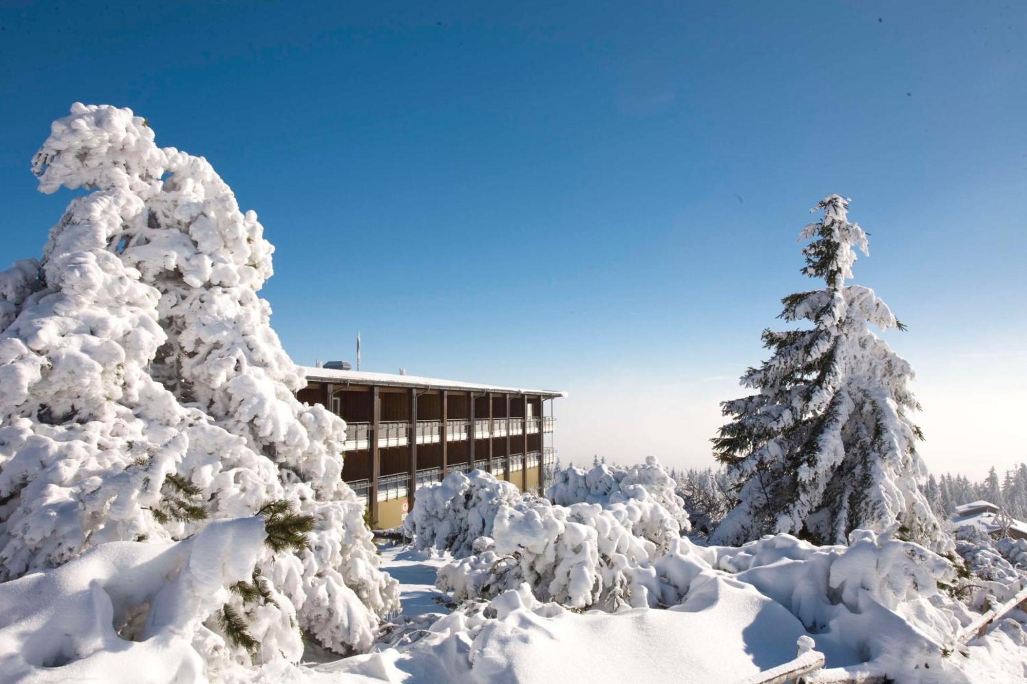 Wellness-& Nationapark Hotel Schliffkopf, Bwsc ไบเออร์สบรอนน์ ภายนอก รูปภาพ